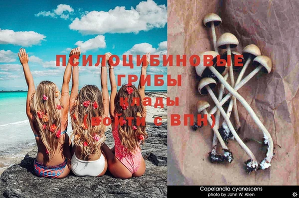кокаин Бородино